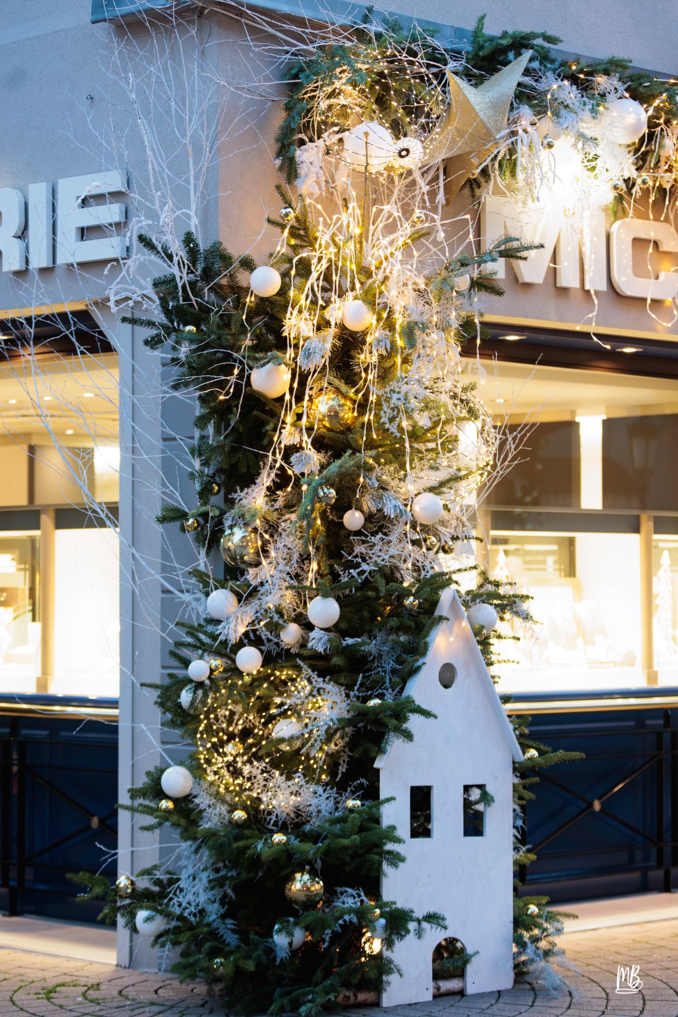 20241129 Noël à Haguenau MB (52 sur 114)